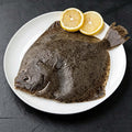 Whole Frozen Turbot
