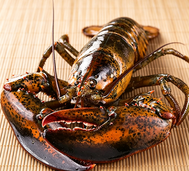 Frozen Whole Lobster